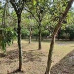 Sítio em Porto Alegre, no bairro São Caetano, à venda.