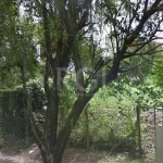 Terreno para comprar no bairro Boa Vista - Porto Alegre&lt;BR&gt;Excelente terreno, na Avenida Engenheiro Alfredo Correa Daudt,&lt;BR&gt;com 300m² de área total, sendo 10m de frente por 30m de fundos 