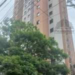 Apartamento para locação, com 02 dormitórios, sala, cozinha, área de serviço, 01 banheiro