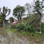 Terreno à venda na Rua Sapucaia, 858, Rio Branco, Caxias do Sul