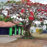 Terreno comercial à venda na Avenida Santos Dumont, 2, Centro, Lauro de Freitas