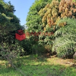 Terreno à venda em Vila de Abrantes