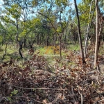 Terreno, 2.618 m² - Próximo ao Limpão, n° 04 - Palmas/TO