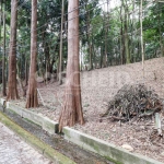 Terreno na chácara flora