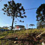 Excelente terreno  bem localizado ZUD 4 - Osasco - Colombo - PR.