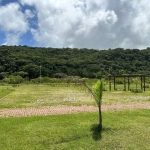 Terrenos Residenciais em Rio Tavares