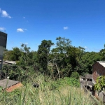 Terreno à venda, 665 m² por R$ 650.000,00 - Quinta dos Angicos - Cotia/SP