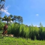 Terreno à venda, 20000 m² por R$ 3.000.000,00 - Tijuco Preto - Cotia/SP