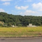 Terreno à venda, 388 m² por R$ 220.000,00 - Granja Viana - Cotia/SP