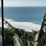 Casa com 4 quartos à venda na Rodovia Jornalista Manoel de Menezes, 568, Praia Mole, Florianópolis