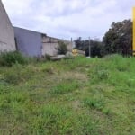 Terreno à venda, 130 m² por R$ 126.700,00 - Jardim Céu Azul - Campo Largo/PR