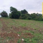 Terreno à venda, 18400 m² por R$ 4.900.000,00 - Vila Rivabem - Campo Largo/PR