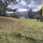 Chácara com 3 dormitórios à venda, 30250 m² por R$ 1.350.000,00 - Zona Rural - Balsa Nova/PR