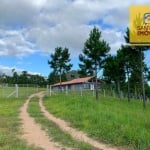 Chácara com 3 dormitórios à venda, 24200 m² por R$ 1.350.000,00 - Felpudo - Campo Largo/PR