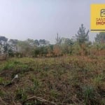 Terreno à venda, 985 m² por R$ 180.000 - Águas Claras - Campo Largo/PR