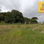 Terreno à venda, 438 m² por R$ 410.000 - Ferrari - Campo Largo/PR