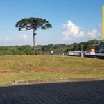 Terreno à venda, 6888 m² por R$ 1.400.000 - Fazendinha - Campo Largo/PR