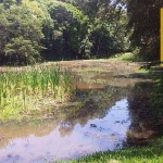 Chácara com 1 dormitório à venda, 20000 m² por R$ 1.100.000,00 - Jardim Florestal - Campo Largo/PR