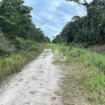 Terreno à venda na Rua do Linguado, 1, Praia do Ervino, São Francisco do Sul