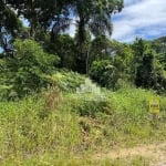 Terreno à venda na Avenida Claudiomiro Vizoto, 779, Praia do Ervino, São Francisco do Sul