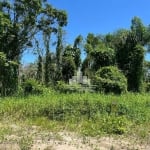 Terreno à venda na Avenida Claudiomiro Vizoto, 779, Praia do Ervino, São Francisco do Sul