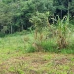 Terreno à venda, 5000 m² por R$ 250.000 - Sabaúna - Mogi das Cruzes/SP