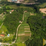 Chácara / sítio com 6 quartos à venda na Rua Toraiwa, S/N, Fukushima, Guararema