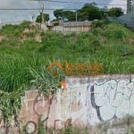 Terreno, 1600 m² - venda por R$ 5.900.000,00 ou aluguel por R$ 22.300,00/mês - Vila Rosália - Guarulhos/SP