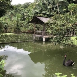 Chácara / sítio com 3 quartos à venda na Rua Minas da Prata, 1073, Progresso, Blumenau