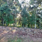 Terreno à venda na Rua Arnoldo Lübke, 09, Velha, Blumenau