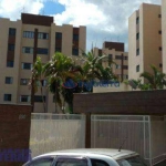 Apartamento com 3 dormitórios à venda, 67 m² por R$ 250.000,00 - Amaro - Londrina/PR