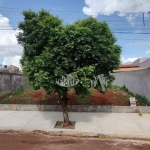 Terreno à venda, 372 m² por R$ 180.000,00 - Sabará III - Londrina/PR