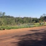 Terreno à venda, 8000 m² por R$ 5.000.000,00 - Gleba Palhano - Londrina/PR