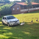 Chácara 9mil m2 à Venda, centro, Ibiporã, PR