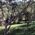 Terreno à venda, 800 m² por R$ 300.000,00 - Condomínio Reserva Ibirapitanga - Santa Isabel/SP