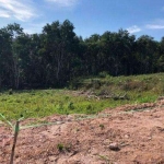 Terreno à venda, 1036 m² por R$ 450.000,00 - Condomínio Reserva Ibirapitanga - Santa Isabel/SP