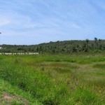 Terreno para Venda em Camaçari, Arembepe