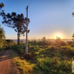 EXCELENTE AREA DE TERRAS PARA CONSTRUIR PERTO DO CENTRO DE NOVA PETROPOLIS-RS.