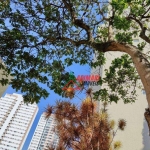 Apartamento com 2 dormitórios à venda, 74 m² por R$ 390.000 - Cambuci - São Paulo/SP