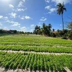 TERRENO COM ACESSO A LAGOA DA PRECABURA