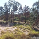 Terreno para Venda em Campo Limpo Paulista, FIGUEIRA BRANCA