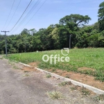 Terreno à venda, 200 m² por R$ 90.000,00 - Setor Industrial Munir Calixto - Anápolis/GO