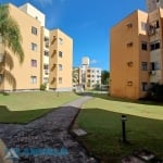 Apartamento com 3 quartos para alugar na Rua Johann Ohf, 1445, Água Verde, Blumenau