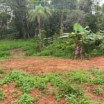 Terreno à venda no bairro São João da Graciosa - Morretes/PR, Rural