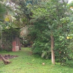 Terreno à venda no bairro América de Cima - Morretes/PR