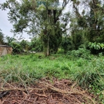 Terreno à venda no bairro Rocio - Morretes/PR, Urbana