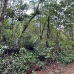 Terreno à venda no bairro São João da Graciosa - Morretes/PR, Rural