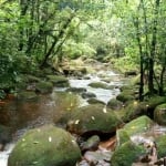 Terreno à venda na Estrada Da Ponte Alta, 227, Zona Rural, Morretes