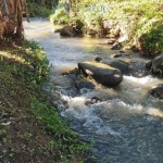 Terreno multifuncional: Seu Lar e Seu Negócio em um Só Lugar!