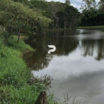 ÁREA DE CAMPO EM FRENTE A UM LAGO EM CARAPEVA - PRÓXIMO DE SãO LUIZ DO PARAITINGA